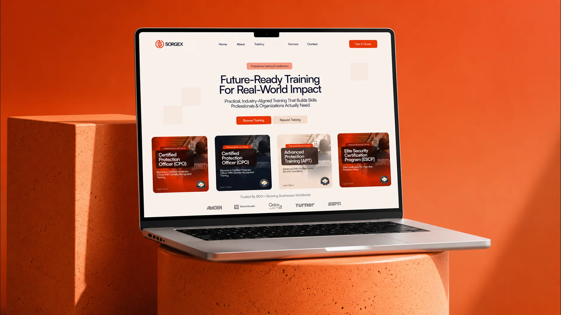 Sorgex Case Study